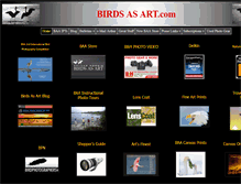 Tablet Screenshot of birdsasart.com